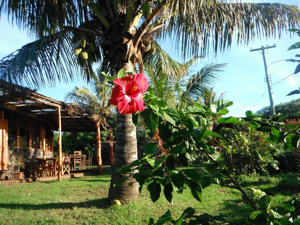 Mamma Nui Glamping Villa Hanga Roa Exterior foto