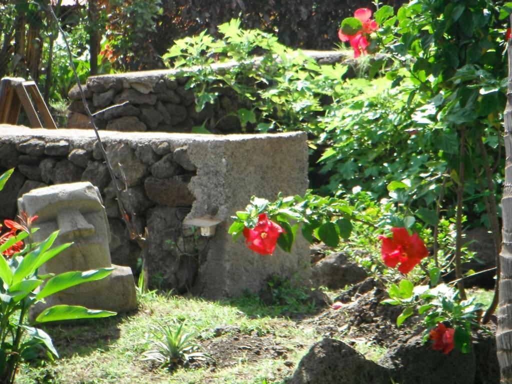 Mamma Nui Glamping Villa Hanga Roa Exterior foto